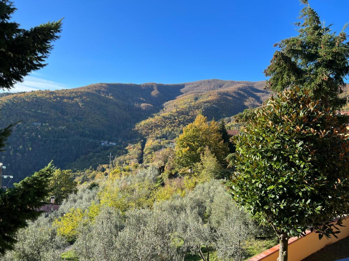 Villetta Mi Il Fabbro Exterior foto